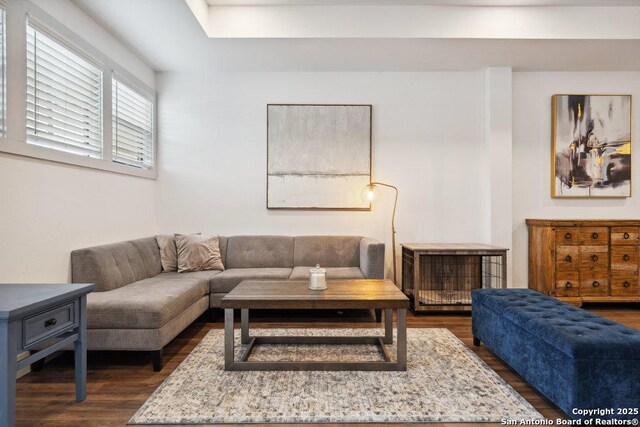 living room with dark wood-style floors