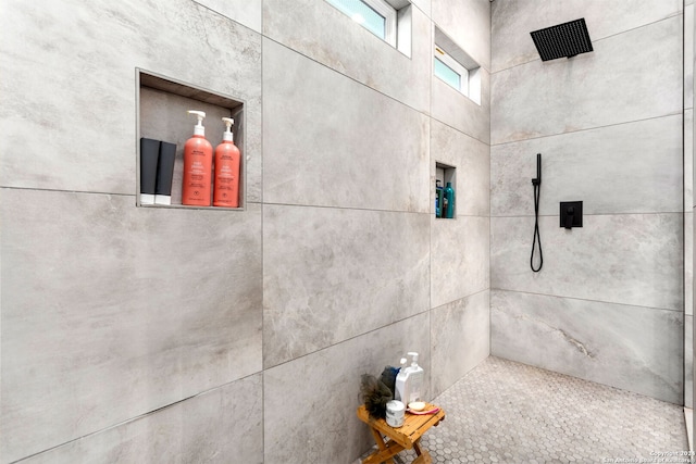 room details with tiled shower