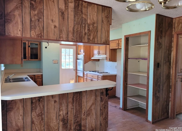 kitchen with a sink, under cabinet range hood, a warming drawer, wood finished floors, and white appliances