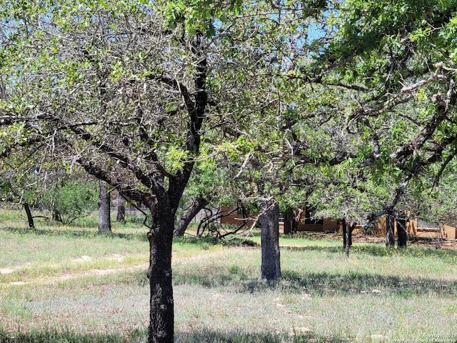 view of landscape
