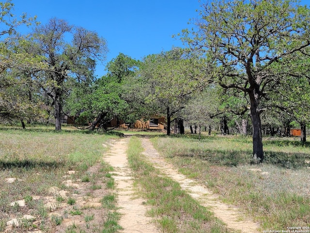 view of street featuring dirt driveway