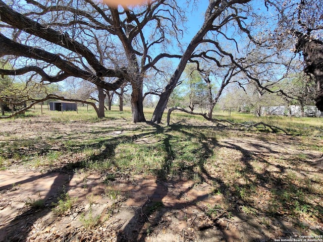 view of yard with an outdoor structure