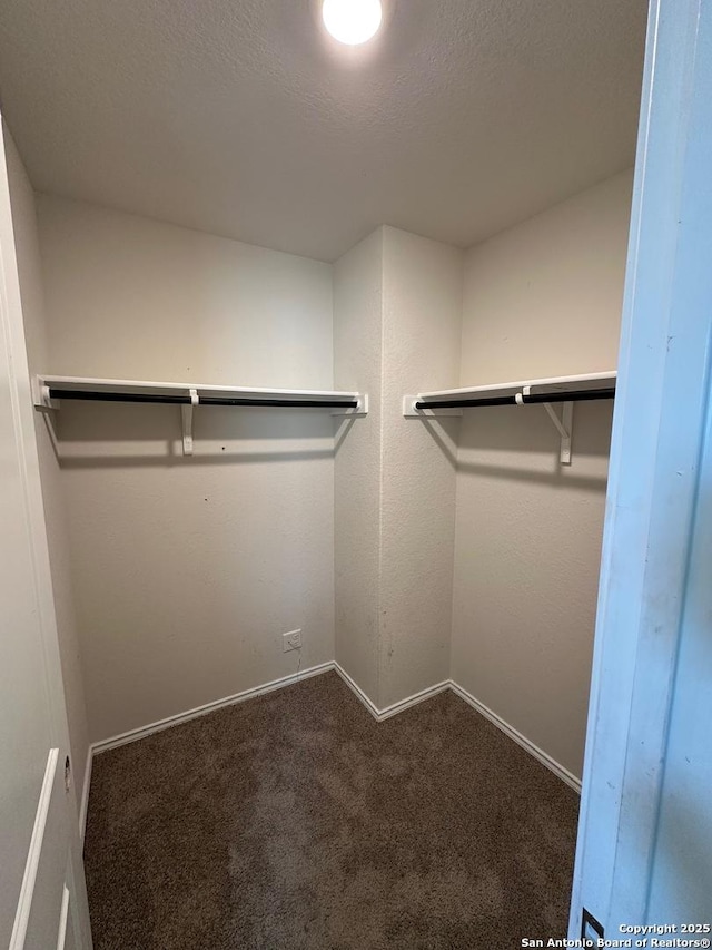 walk in closet featuring carpet flooring