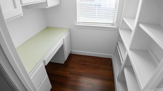 walk in closet featuring dark wood-style flooring