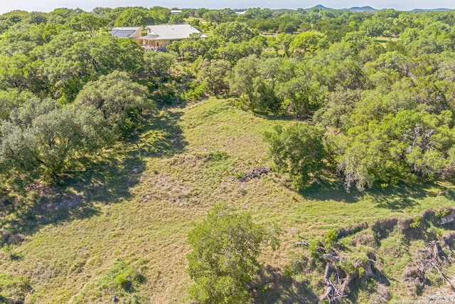 aerial view featuring a forest view