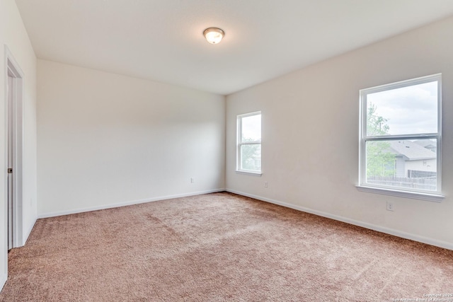 empty room featuring plenty of natural light and carpet