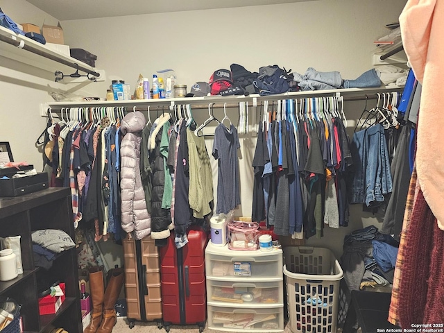view of spacious closet