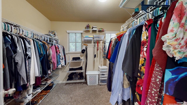 spacious closet with carpet flooring