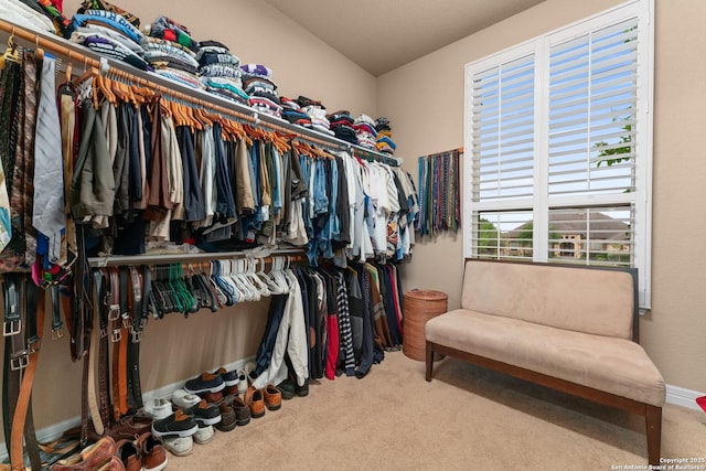 spacious closet with carpet