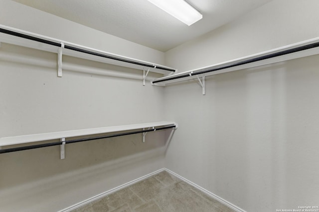 spacious closet with light colored carpet