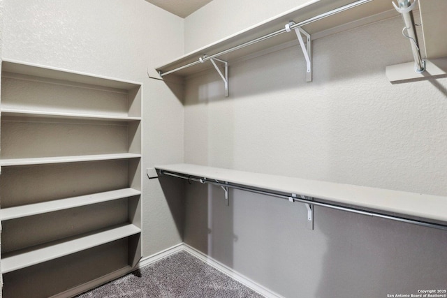 spacious closet with carpet