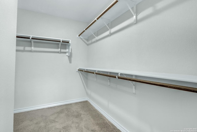 spacious closet with carpet flooring