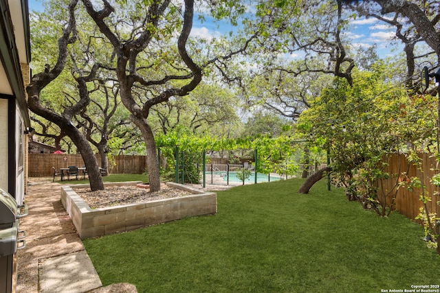view of yard with a patio area and a fenced backyard