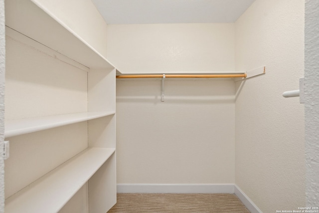 walk in closet featuring carpet floors