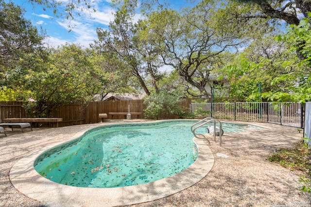 view of pool with a fenced backyard, a patio area, and a fenced in pool