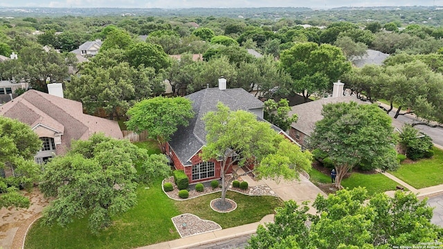 bird's eye view