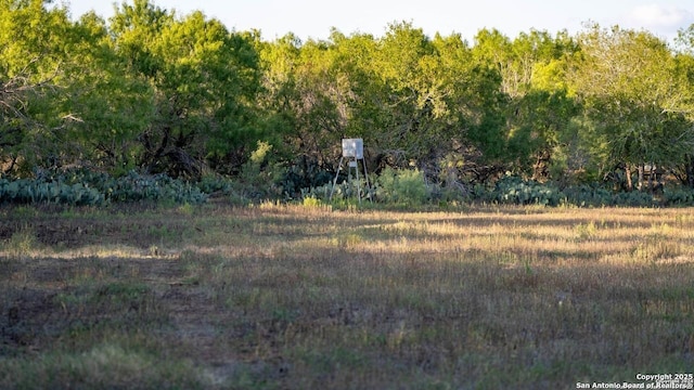 view of yard with a view of trees