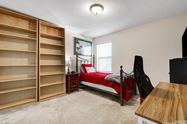 7143 Dulce Mdw, San Antonio, TX 78252 - view of carpeted bedroom