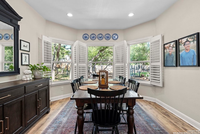 dining room with baseboards, wood finished floors, and a healthy amount of sunlight