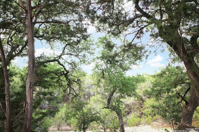 view of landscape featuring a forest view