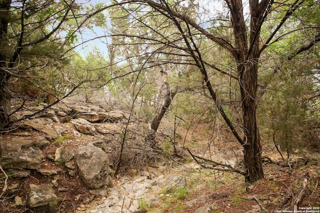 view of landscape featuring a view of trees