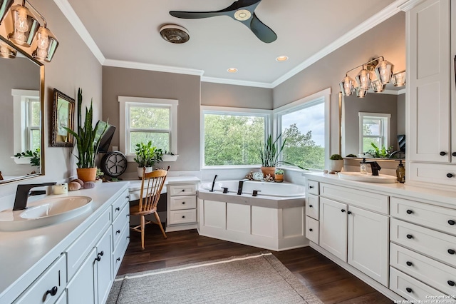 full bathroom featuring wood finished floors, a sink, and ceiling fan