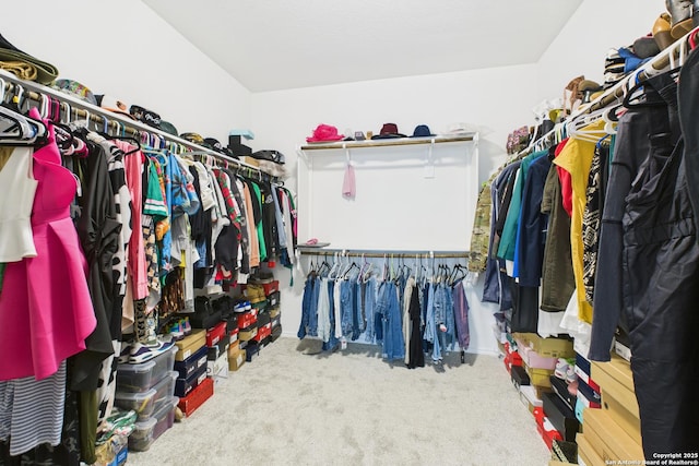 walk in closet with carpet flooring