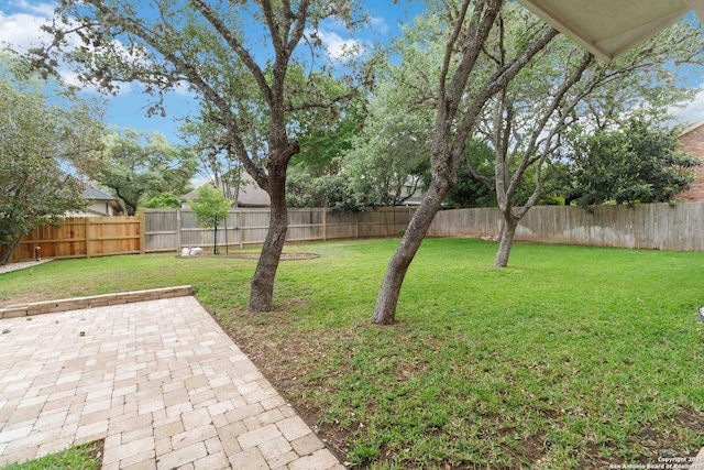 view of yard featuring a fenced backyard and a patio