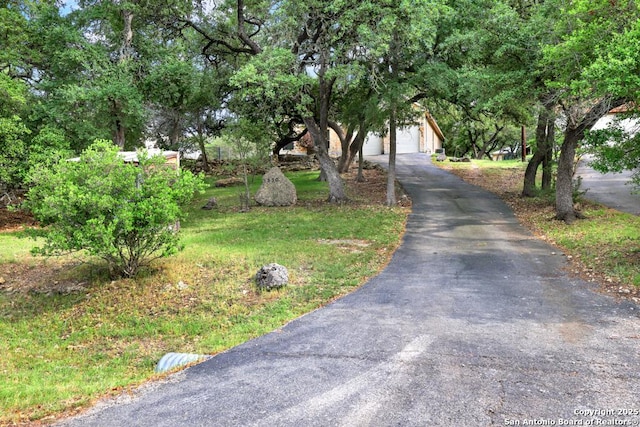 view of road with driveway