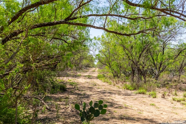 000 Fm 1581, Dilley, TX 78017