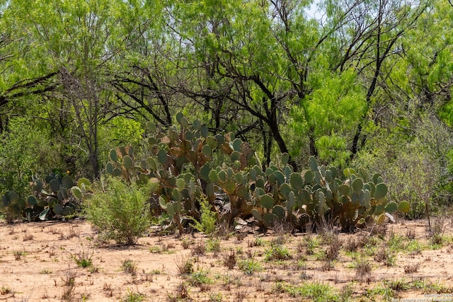000 Fm 1581, Dilley, TX 78017