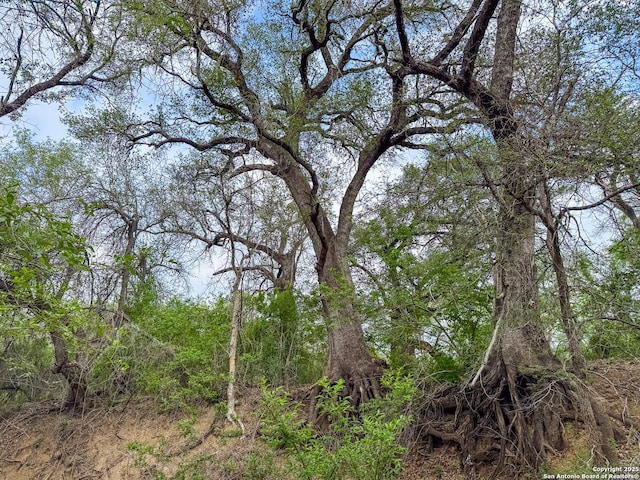 000 Fm 1581, Dilley, TX 78017