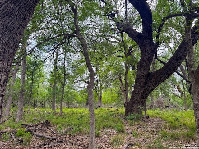 000 Fm 1581, Dilley, TX 78017