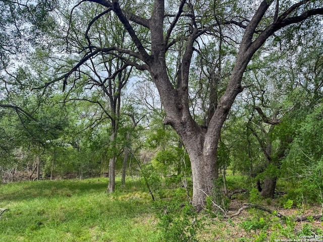 000 Fm 1581, Dilley, TX 78017