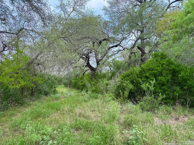 000 Fm 1581, Dilley, TX 78017