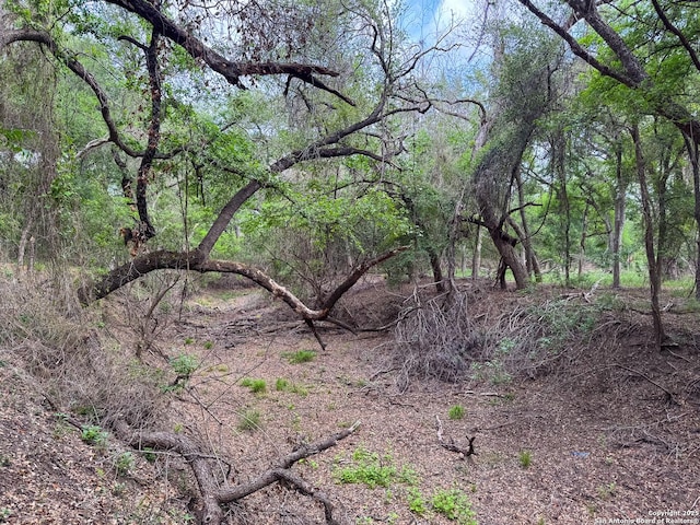000 Fm 1581, Dilley, TX 78017