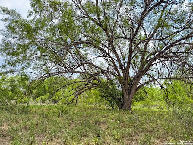 000 Fm 1581, Dilley, TX 78017