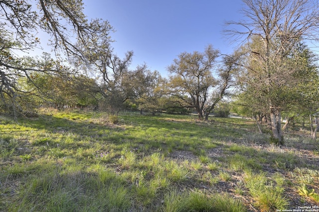 283 N Second St, Harper, TX 78631 - view of local wilderness