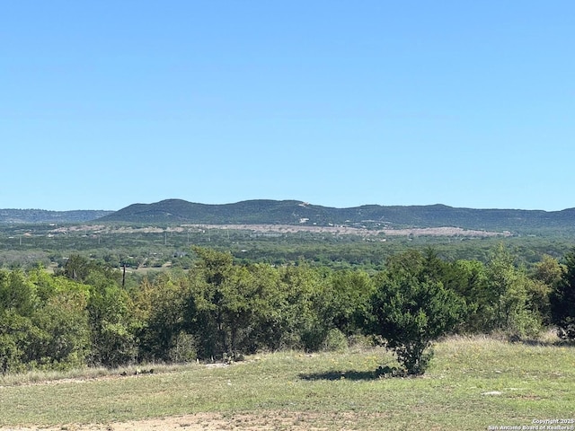 view of mountain feature