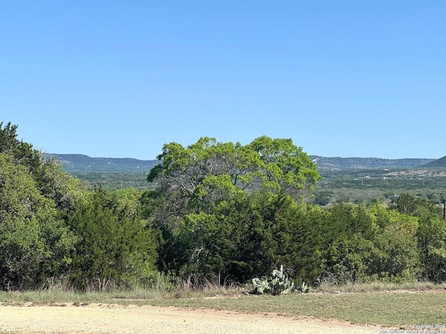 mountain view with a wooded view