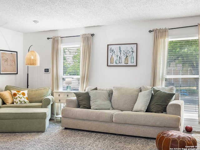 7906 Winsford, San Antonio, TX 78239 - living room featuring a textured ceiling