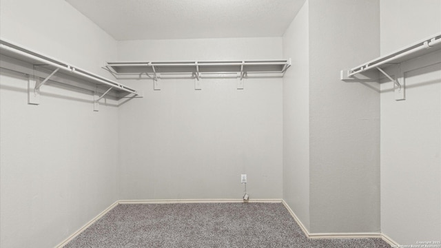 6430 Ithaca Fls, San Antonio, TX 78239 - spacious closet with carpet