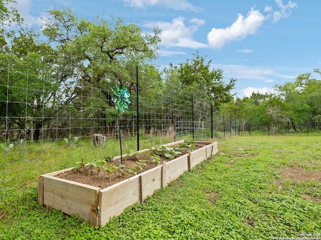 154 Elk Rdg, Canyon Lake, TX 78133 - view of yard with a garden and fence