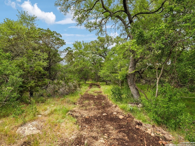 154 Elk Rdg, Canyon Lake, TX 78133 - view of landscape featuring a forest view