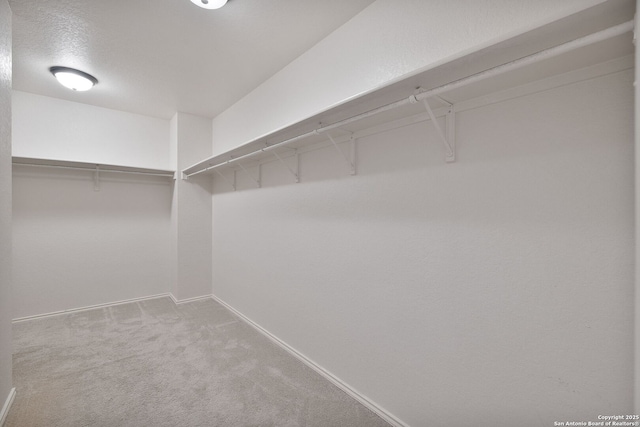 13219 Loma Sierra, San Antonio, TX 78233 - walk in closet with carpet floors