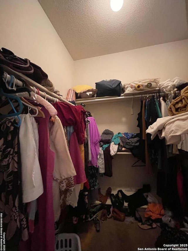 walk in closet with carpet floors