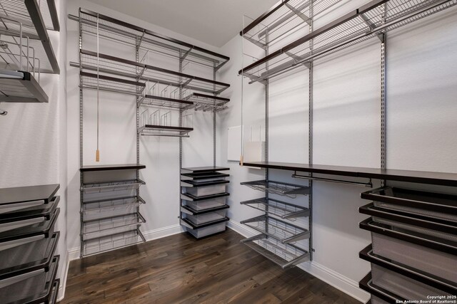 walk in closet with dark wood-type flooring