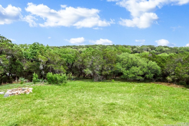 630 Nelson, Canyon Lake, TX 78133 - view of yard featuring a forest view