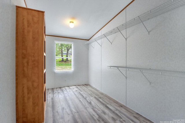 630 Nelson, Canyon Lake, TX 78133 - spacious closet featuring light wood-type flooring
