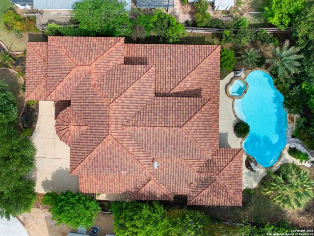 bird's eye view
